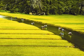 Nouvelle reconnaissance pour Ninh Binh