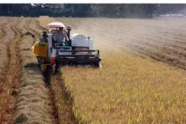 L’agriculture du delta du Mékong face aux changements climatiques