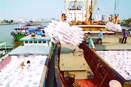 FTA Vietnam – UEEA: de belles perspectives pour le riz vietnamien 