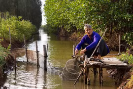 L'Allemagne aide le Vietnam dans la protection des forêts