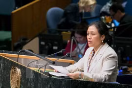 Le Vietnam soutient un désarmement intégral