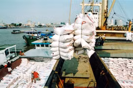 Recul des exportations nationales de riz 