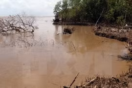 Vietnam : vers un plan d’action concret pour la résilience au changement climatique