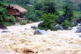 Crues à Nghe An : 4 morts et plus de 191 milliards de dôngs de pertes 