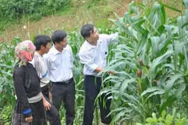 JICA : fin du projet "Développement rural dans la région Nord-Ouest" 