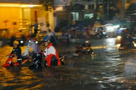 Des experts étrangers se penchent sur le problème des inondations à Hô Chi Minh-Ville