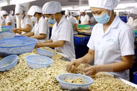 Baisse des exportations de produits agricoles et aquatiques en huit mois