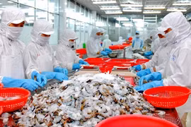 Septembre : 600 millions de dollars d’exportations de produits aquatiques 