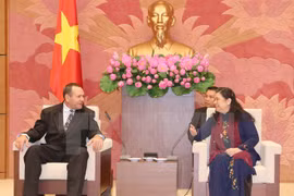 La vice-présidente de l’AN Tong Thi Phong reçoit une délégation cubaine