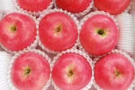 Les pommes japonaises font leur entrée au Vietnam