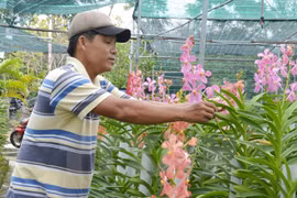 Renforcement de l'octroi des crédits à l'agriculture au Vietnam