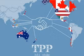 Le TPP donnera un nouvel essor à l'immobilier du Vietnam