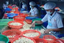 Vietnam-Canada : nette croissance du commerce bilatéral en neuf mois 