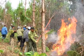 Aide pour la lutte contre les incendies de forêt 