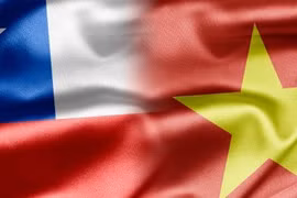 Vietnam et Chili renforcent leurs échanges 