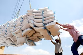 3,3 millions de tonnes de riz exportés depuis janvier 