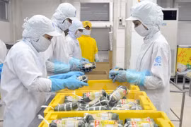 Renforcement de la connectivité entre entreprises vietnamiennes et indonésiennes