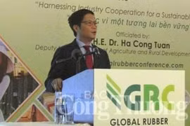 Pour un développement durable de la filière du caoutchouc du Vietnam 