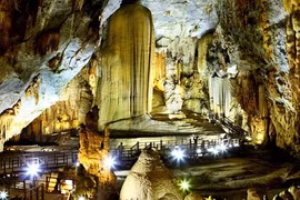 Aides allemandes pour la préservation du parc national Phong Nha-Ke Bang