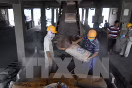 Plus de 410 millions de dollars d’exportations de ciment et de clinker en sept mois