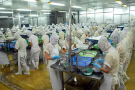 Une délégation d’entreprises philippines à Ho Chi Minh-Ville