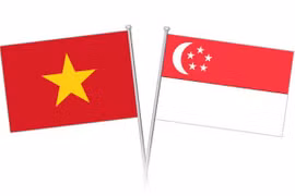 HCM-Ville célèbre le cinquantenaire de la Fête nationale de Singapour 