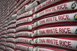 La Thaïlande remporte un marché public de fourniture de riz à l'Indonésie