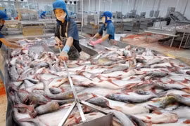 Pangasius: à la recherche de mesures pour élargir les débouchés d'exportation