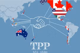 TPP : de nombreux produits ne seront plus taxés 