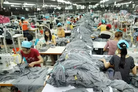 Pour que Hanoi profite pleinement des avantages du TPP