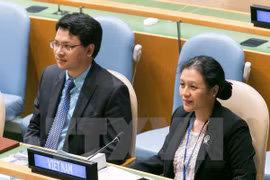 Le Vietnam appelle à mettre fin aux actes illégaux en Mer Orientale