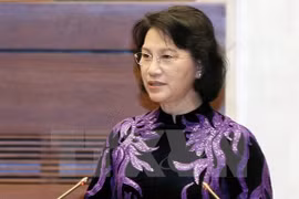 Resserrement de la coopération entre les deux Assemblées nationales Vietnam-Laos