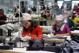 Le TPP, opportunités et défis, et actions du Vietnam