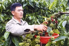Gia Lai vise une réduction rapide et durable de son taux de pauvreté