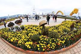 Dà Nang promeut le tourisme MICE