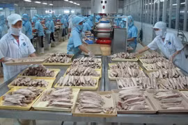 Le Vietnam exporte près de 2 Mlds de dollars de produits aquatiques