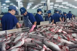 Les exportations de produits aquatiques atteindront 7,1 milliards de dollars en 2017