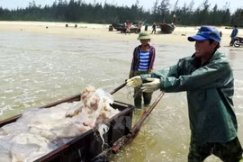 Des pêcheurs du Centre soutenus suite à l'hécatombe de poissons 
