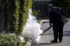 Zika : les autorités sanitaires de Thaïlande rassurent la population
