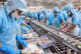 L’ASEAN, 4e débouché des pangasius du Vietnam