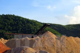 Exportation de 1,8 million de tonnes de copeaux de bois lors du premier semestre