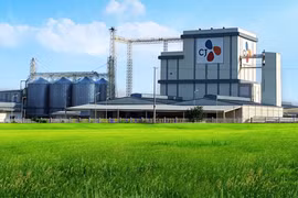 Plus de 31 millions de dollars pour la construction d'une provenderie à Ha Nam