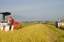  La nouvelle ruralité s’apparenterait à un tour de magie à Hoa Vang