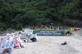 Une centaine de volontaires nettoient des îles et îlots de la baie de Ha Long