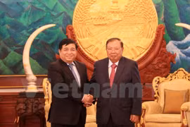 Promotion des relations de coopération Vietnam-Laos 
