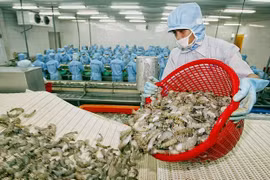 Brexit : tendance à la baisse des exportations de crevettes du Vietnam 