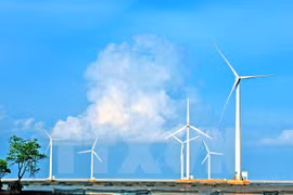 La province de Ninh Thuan veut tabler sur les atouts maritimes et les énergies vertes
