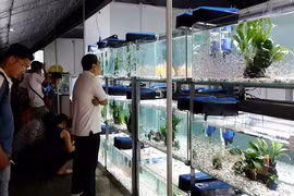 Cinquième Foire-expo de l'agriculture higt-tech et de l'industrie agroalimentaire