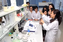 Les jeunes scientifiques face à de nombreux défis