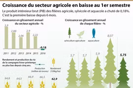 Croissance du secteur agricole en baisse au 1er semestre